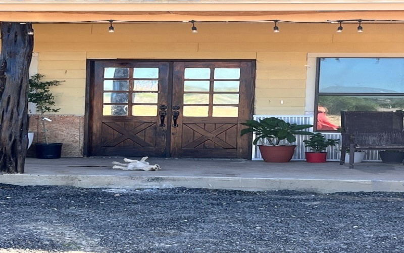 614 Sunset Road, Eagle Pass, TX 78852, 5 Habitaciones Habitaciones , ,2 BañosBaños,Granja,En Venta,614 Sunset Road,81366