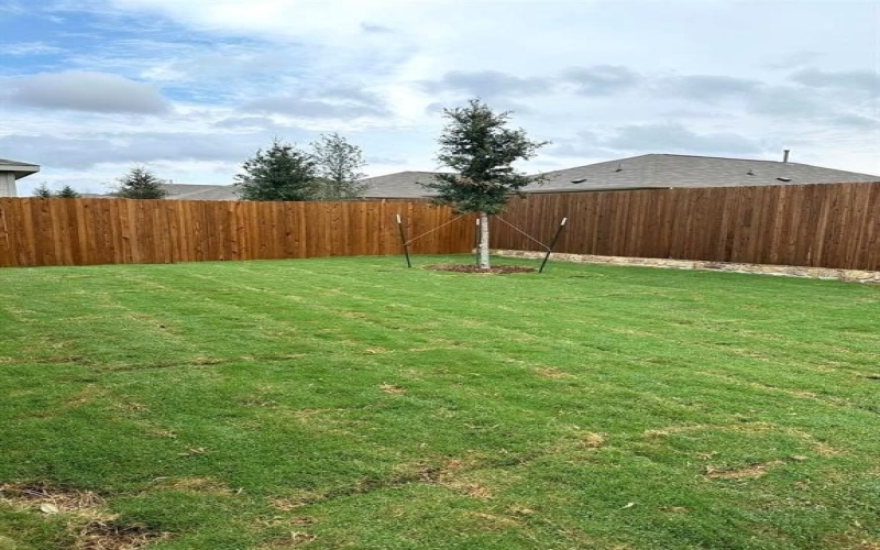 9000 Red Fox Trail, McKinney, TX 75071, 3 Bedrooms Bedrooms, ,2 BathroomsBathrooms,Residential Lease,For Rent,9000 Red Fox Trail,20974501
