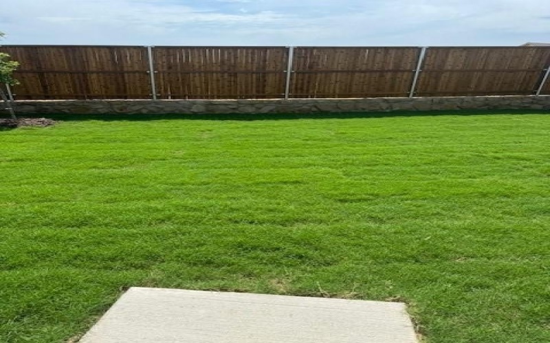 3117 Tokara Drive, Providence Village, TX 76227, 3 Habitaciones Habitaciones , ,2 BañosBaños,Residential Lease,En Alquiler,3117 Tokara Drive,20974675