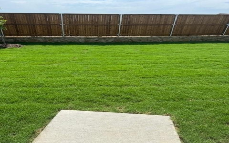 3117 Tokara Drive, Providence Village, TX 76227, 3 Habitaciones Habitaciones , ,2 BañosBaños,Residential Lease,En Alquiler,3117 Tokara Drive,20974675
