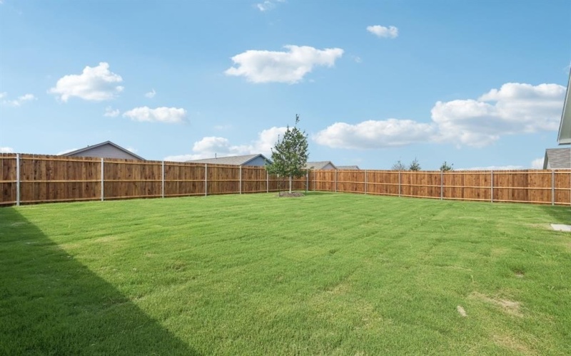 1654 Lercara Lane, McKinney, TX 75071, 4 Habitaciones Habitaciones , ,2 BañosBaños,Residential Lease,En Alquiler,1654 Lercara Lane,20974833