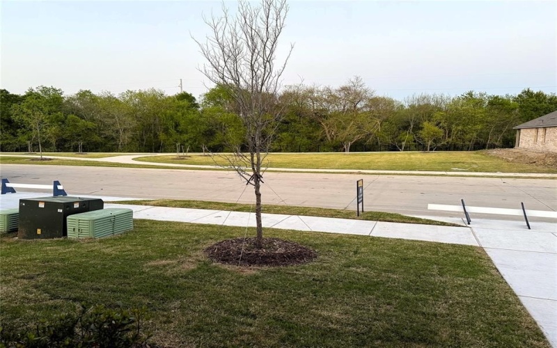 408 Forest Park Parkway, Princeton, TX 75407, 3 Bedrooms Bedrooms, ,2 BathroomsBathrooms,Residential Lease,For Rent,408 Forest Park Parkway,20975044
