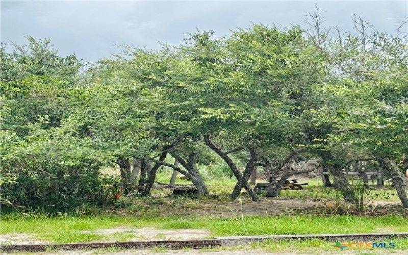 582 Adolfo Drive, Aransas Pass, TX 78336, ,Commercial Sale,For Sale,582 Adolfo Drive,583294