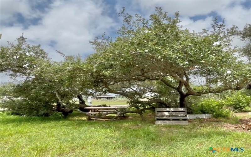 582 Adolfo Drive, Aransas Pass, TX 78336, ,Commercial Sale,For Sale,582 Adolfo Drive,583294