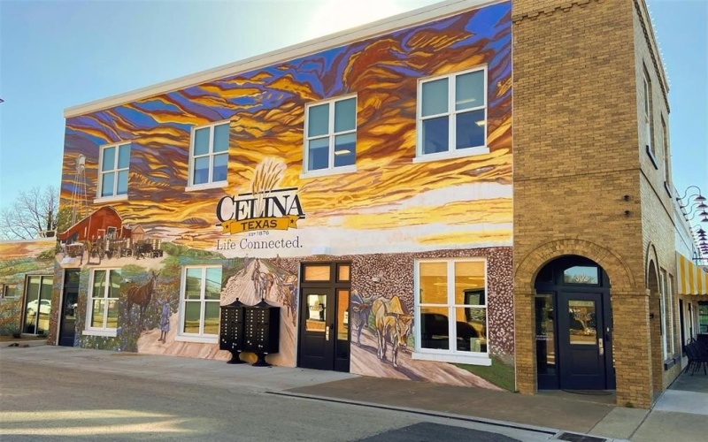 900 Brinn Boulevard, Celina, TX 75009, 4 Bedrooms Bedrooms, ,5 BathroomsBathrooms,Residential,For Sale,900 Brinn Boulevard,20976597