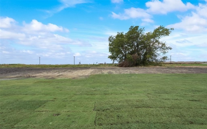 1117 Barrix Drive, Forney, TX 75126, 4 Bedrooms Bedrooms, ,3 BathroomsBathrooms,Residential,For Sale,1117 Barrix Drive,20976646