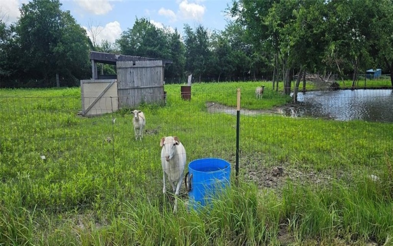 1551 County Road 2540, Quinlan, TX 75474, 9 Bedrooms Bedrooms, ,6 BathroomsBathrooms,Residential,For Sale,1551 County Road 2540,20977181