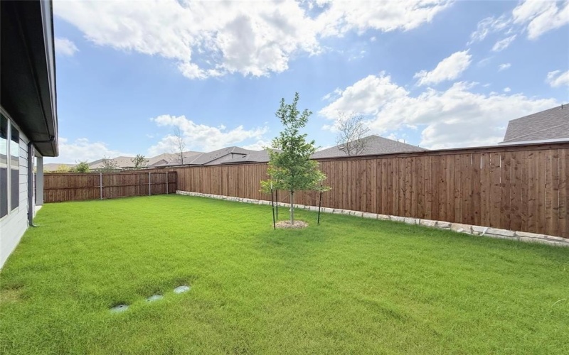 1918 Starling Street, Princeton, TX 75407, 4 Habitaciones Habitaciones , ,3 BañosBaños,Residential Lease,En Alquiler,1918 Starling Street,20975283