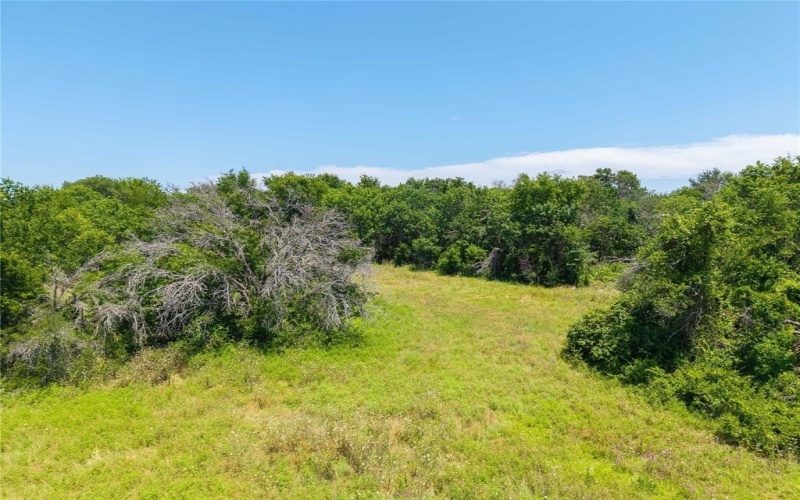3885 County Road 522, Stephenville, TX 76401, 2 Bedrooms Bedrooms, ,2 BathroomsBathrooms,Residential,For Sale,3885 County Road 522,20976033