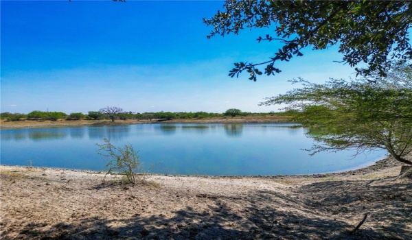3189-3251 County Road 407, Karnes City, TX 78113, ,Otro,En Venta,3189-3251 County Road 407,450932