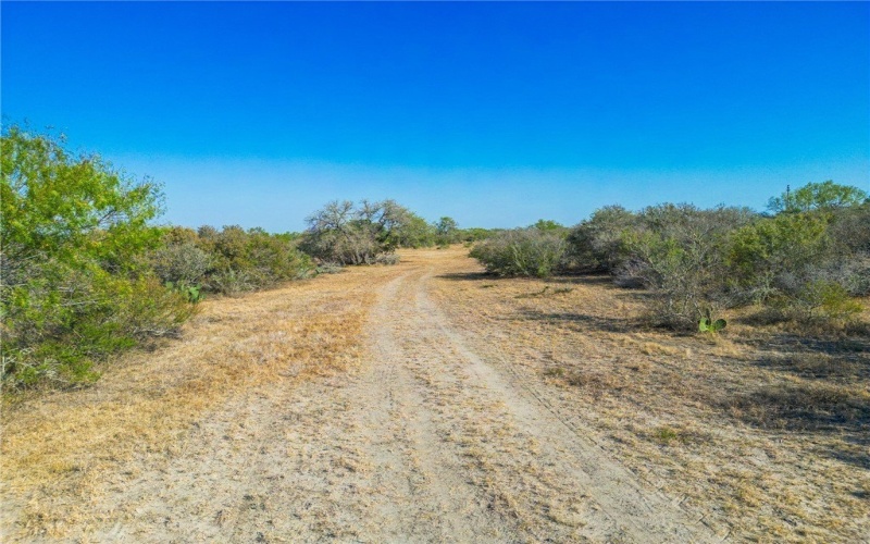 3189-3251 County Road 407, Karnes City, TX 78113, ,Otro,En Venta,3189-3251 County Road 407,450932
