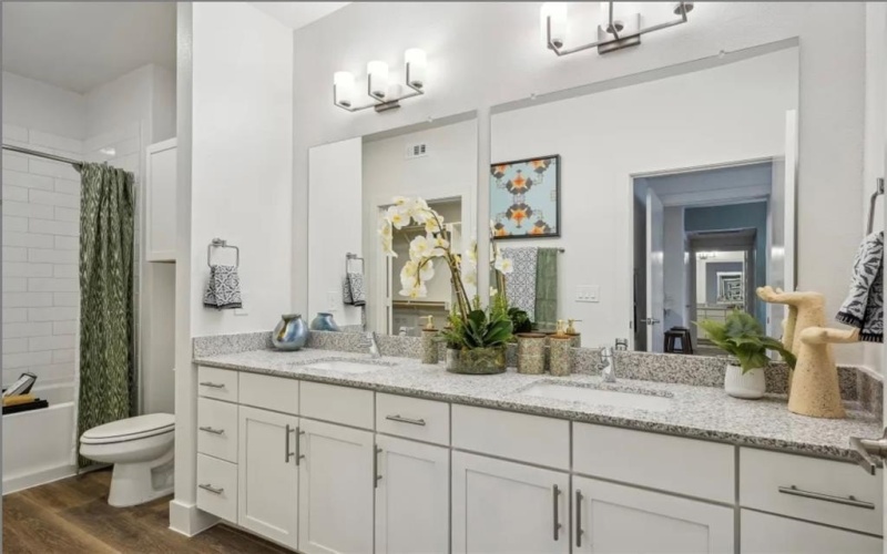 461 E Lamar Street #1167, McKinney, TX 75069, 2 Bedrooms Bedrooms, ,2 BathroomsBathrooms,Residential Lease,For Rent,461 E Lamar Street,20980964
