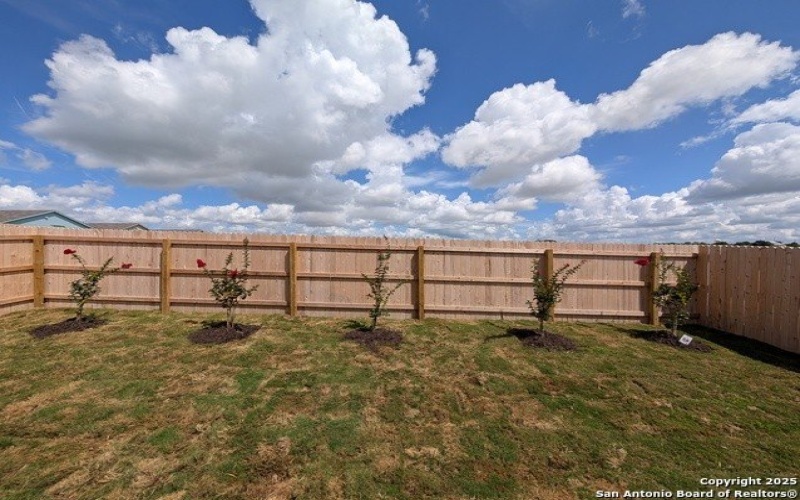 1514 Pile, New Braunfels, TX 78130, 3 Bedrooms Bedrooms, ,2 BathroomsBathrooms,Residential Lease,For Rent,1514 Pile,1878881