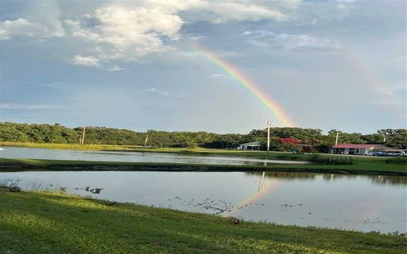 1908 Private Road 3344, Greenville, TX 75402, 2 Bedrooms Bedrooms, ,2 BathroomsBathrooms,Residential,For Sale,1908 Private Road 3344,20978207