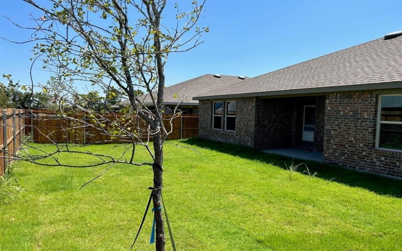 2811 Jasmine Drive, Sherman, TX 75092, 3 Bedrooms Bedrooms, ,2 BathroomsBathrooms,Residential Lease,For Rent,2811 Jasmine Drive,20982820