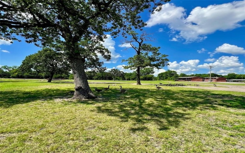 813 SAYLE, Greenville, TX 75401, 3 Bedrooms Bedrooms, ,2 BathroomsBathrooms,Residential,For Sale,813 SAYLE,20981864