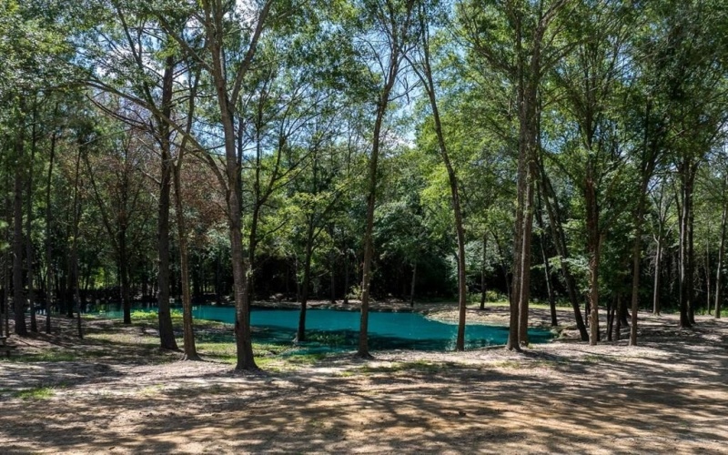 7929 Clear Creek Road, Mabank, TX 75156, 1 Bedroom Bedrooms, ,1 BathroomBathrooms,Residential,For Sale,7929 Clear Creek Road,20982453