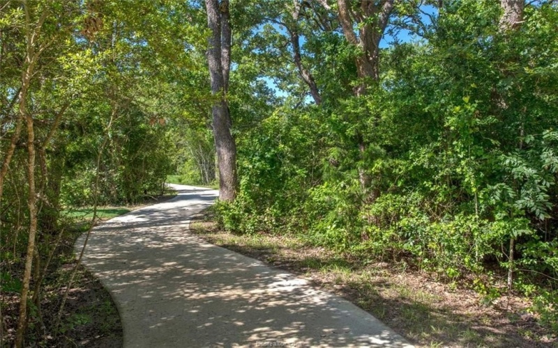 3540 Anderson Arbor Court, College Station, TX 77845, 4 Bedrooms Bedrooms, ,5 BathroomsBathrooms,Residential,For Sale,3540 Anderson Arbor Court,25007336
