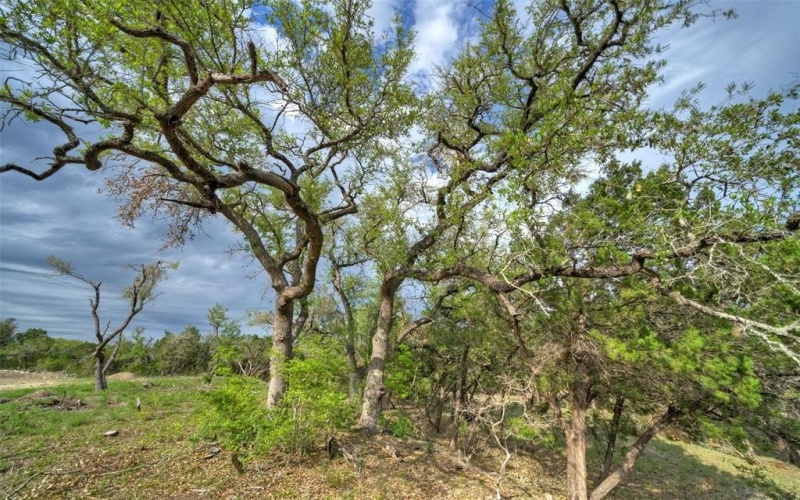 Tbd Jim Bridger Drive, Austin, TX 78737, 4 Bedrooms Bedrooms, ,5 BathroomsBathrooms,Residential,For Sale,Tbd Jim Bridger Drive,20983368