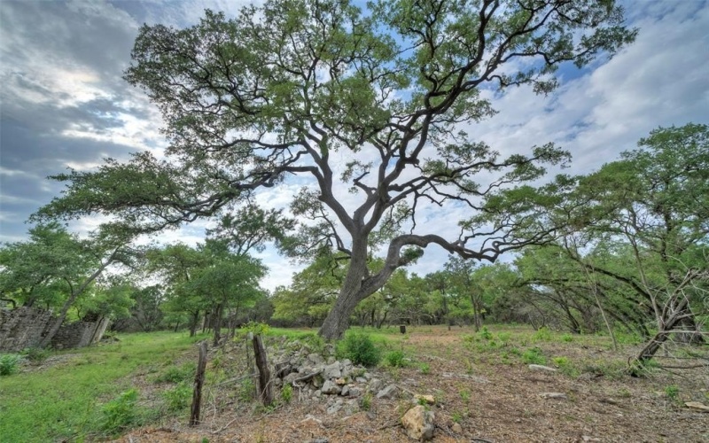 Tbd Jim Bridger Drive, Austin, TX 78737, 4 Bedrooms Bedrooms, ,5 BathroomsBathrooms,Residential,For Sale,Tbd Jim Bridger Drive,20983368