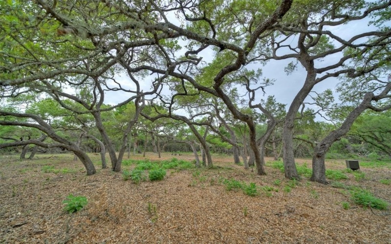Tbd Jim Bridger Drive, Austin, TX 78737, 4 Bedrooms Bedrooms, ,5 BathroomsBathrooms,Residential,For Sale,Tbd Jim Bridger Drive,20983368