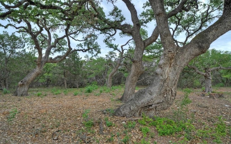 Tbd Jim Bridger Drive, Austin, TX 78737, 4 Bedrooms Bedrooms, ,5 BathroomsBathrooms,Residential,For Sale,Tbd Jim Bridger Drive,20983368