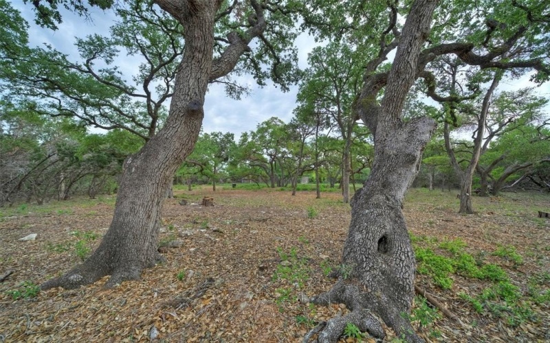 Tbd Jim Bridger Drive, Austin, TX 78737, 4 Bedrooms Bedrooms, ,5 BathroomsBathrooms,Residential,For Sale,Tbd Jim Bridger Drive,20983368