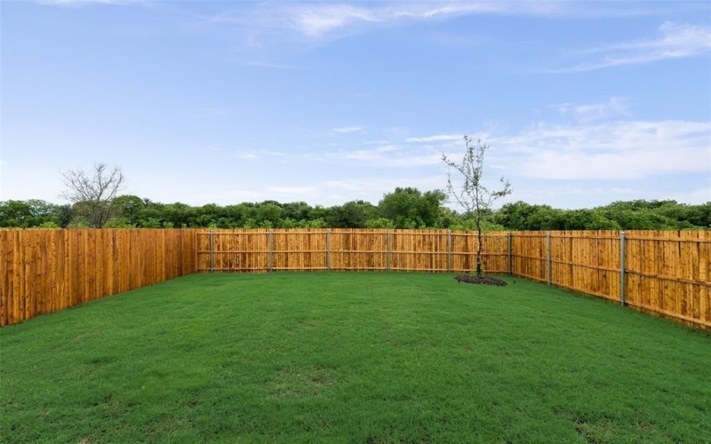 207 bradford Drive, Princeton, TX 75407, 5 Bedrooms Bedrooms, ,3 BathroomsBathrooms,Residential Lease,For Rent,207 bradford Drive,20983494