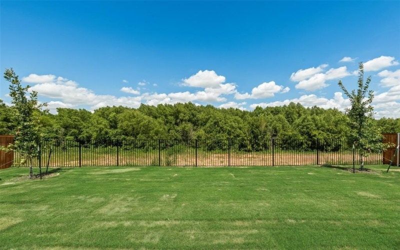 1904 Monchino Place, Providence Village, TX 76227, 4 Bedrooms Bedrooms, ,2 BathroomsBathrooms,Residential Lease,For Rent,1904 Monchino Place,20982283