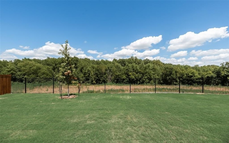 1900 Monchino Place, Providence Village, TX 76227, 3 Bedrooms Bedrooms, ,2 BathroomsBathrooms,Residential Lease,For Rent,1900 Monchino Place,20982356