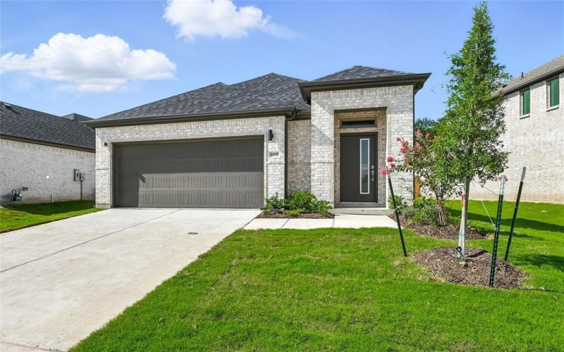 808 Pine beach Drive, McKinney, TX 75071, 3 Bedrooms Bedrooms, ,2 BathroomsBathrooms,Residential Lease,For Rent,808 Pine beach Drive,20984229