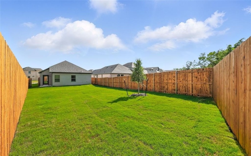808 Pine beach Drive, McKinney, TX 75071, 3 Bedrooms Bedrooms, ,2 BathroomsBathrooms,Residential Lease,For Rent,808 Pine beach Drive,20984229
