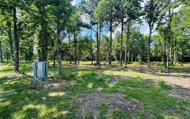 169 County Road, Winnsboro, TX 75494, 2 Habitaciones Habitaciones , ,2 BañosBaños,Residential,En Venta,169 County Road,20985516