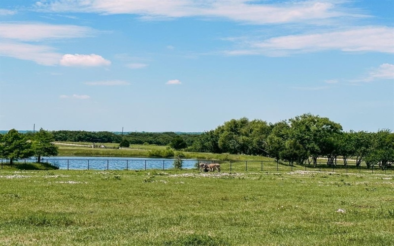 Lot1-cr County Road 177, Celina, TX 75009, 4 Habitaciones Habitaciones , ,3 BañosBaños,Residential,En Venta,Lot1-cr County Road 177,20985508