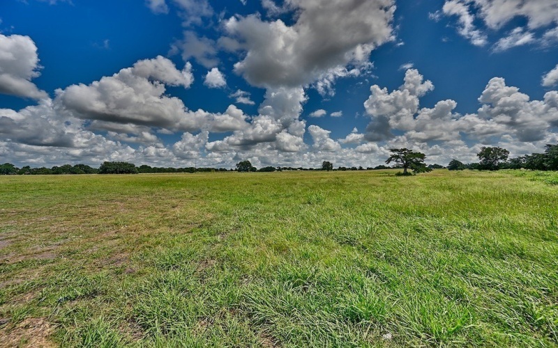 Tracts 6 & 7 Fieldcrest Lane, Burton, TX 77835, 4 Habitaciones Habitaciones , ,3 BañosBaños,Granja,En Venta,Tracts 6 & 7 Fieldcrest Lane,152379