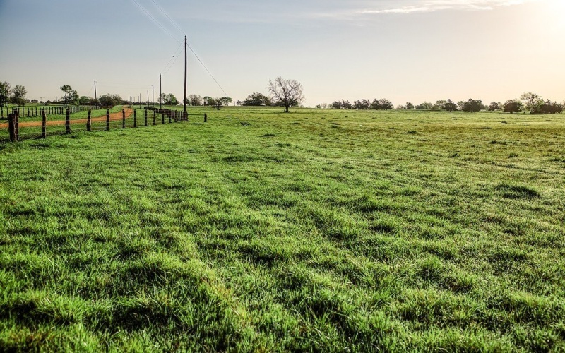 Tracts 6, 7 & 8 Fieldcrest Lane, Burton, TX 77835, 4 Habitaciones Habitaciones , ,3 BañosBaños,Granja,En Venta,Tracts 6, 7 & 8 Fieldcrest Lane,152381