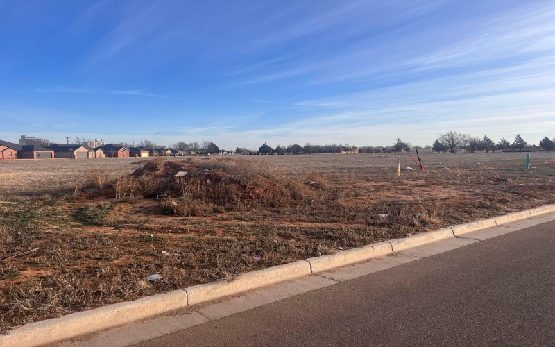 848 Torres Drive, Hereford, TX 79045, 3 Bedrooms Bedrooms, ,2 BathroomsBathrooms,Residential,For Sale,848 Torres Drive,25-1847