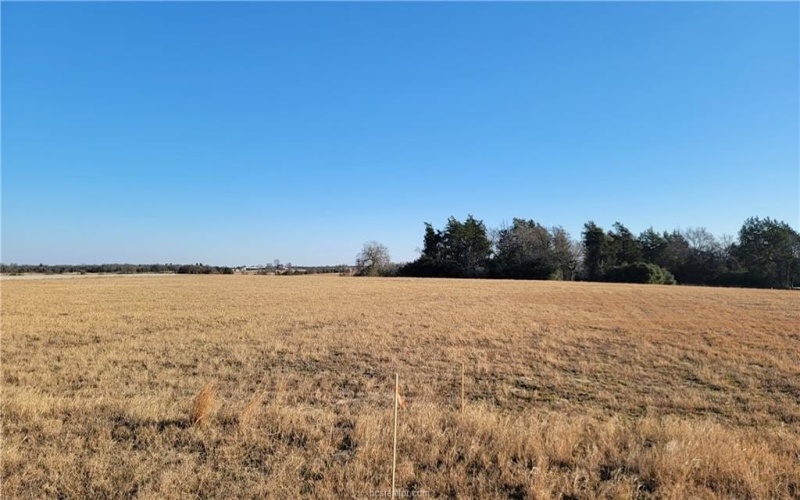 Lot 13 Hillcrest Court, Franklin, TX 77856, 3 Bedrooms Bedrooms, ,3 BathroomsBathrooms,Residential,For Sale,Lot 13 Hillcrest Court,25001229