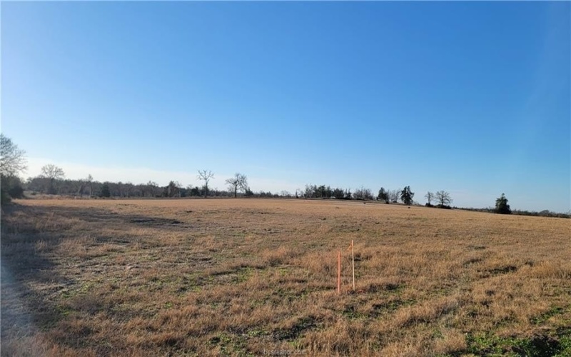 Lot 13 Hillcrest Court, Franklin, TX 77856, 3 Bedrooms Bedrooms, ,3 BathroomsBathrooms,Residential,For Sale,Lot 13 Hillcrest Court,25001229