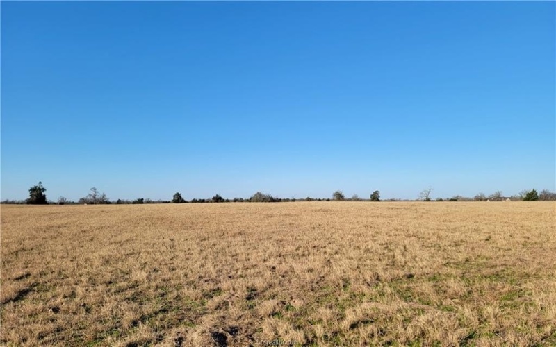 Lot 13 Hillcrest Court, Franklin, TX 77856, 3 Bedrooms Bedrooms, ,3 BathroomsBathrooms,Residential,For Sale,Lot 13 Hillcrest Court,25001229