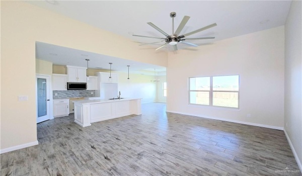 1013 Solaris Street, Edinburg, TX 78541, 3 Bedrooms Bedrooms, ,2 BathroomsBathrooms,Residential,For Sale,1013 Solaris Street,461056