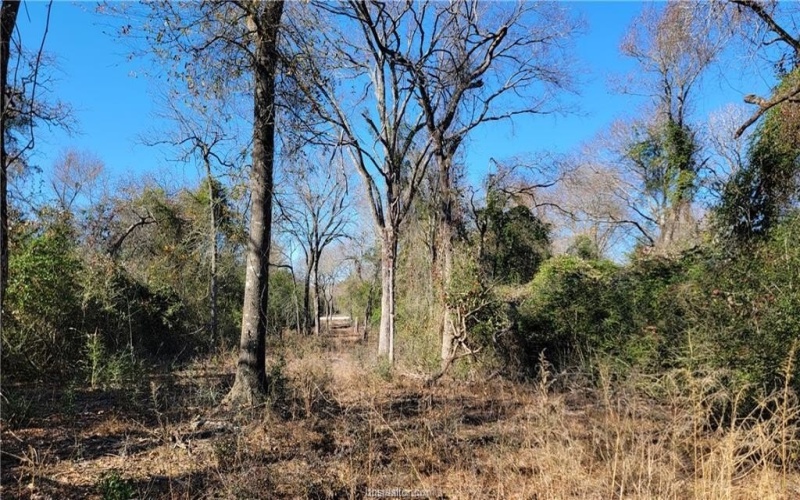 Lot 25 High Meadow Trail, Franklin, TX 77856, 6 Habitaciones Habitaciones , ,5 BañosBaños,Residential,En Venta,Lot 25 High Meadow Trail,25001492