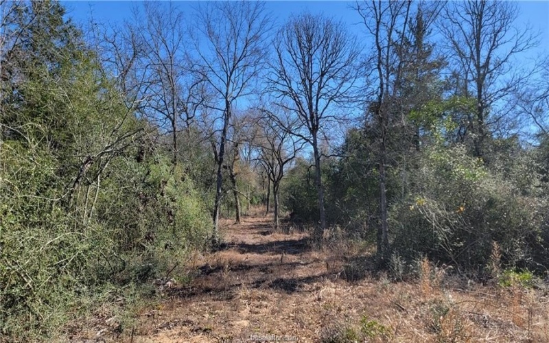 Lot 25 High Meadow Trail, Franklin, TX 77856, 6 Habitaciones Habitaciones , ,5 BañosBaños,Residential,En Venta,Lot 25 High Meadow Trail,25001492