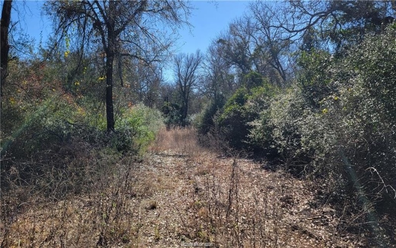 Lot 25 High Meadow Trail, Franklin, TX 77856, 6 Habitaciones Habitaciones , ,5 BañosBaños,Residential,En Venta,Lot 25 High Meadow Trail,25001492