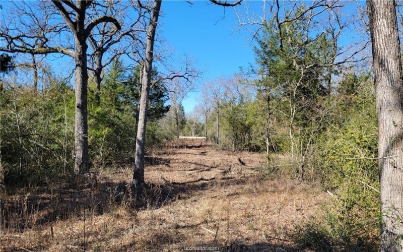 Lot 25 High Meadow Trail, Franklin, TX 77856, 6 Habitaciones Habitaciones , ,5 BañosBaños,Residential,En Venta,Lot 25 High Meadow Trail,25001492