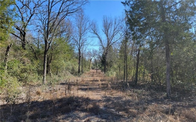 Lot 25 High Meadow Trail, Franklin, TX 77856, 6 Habitaciones Habitaciones , ,5 BañosBaños,Residential,En Venta,Lot 25 High Meadow Trail,25001492