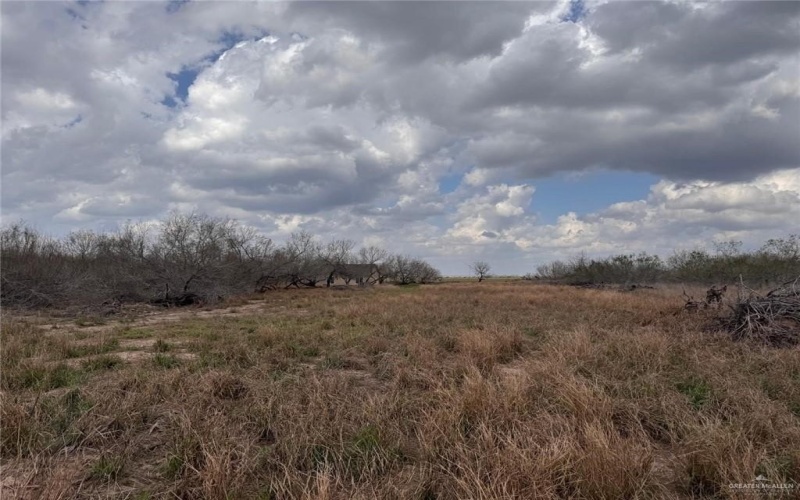 28163 Mile 17 1/2 Trail, McAllen, TX 78541, 4 Bedrooms Bedrooms, ,2 BathroomsBathrooms,Residential,For Sale,28163 Mile 17 1/2 Trail,462125
