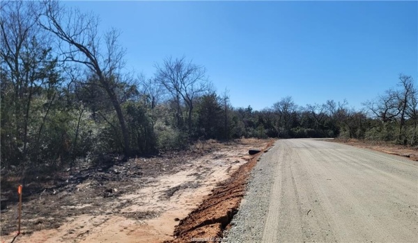 Lot 26 Forest Glen Court, Franklin, TX 77856, 4 Bedrooms Bedrooms, ,3 BathroomsBathrooms,Residential,For Sale,Lot 26 Forest Glen Court,25001718
