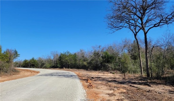 Lot 34 High Meadow Trail, Franklin, TX 77856, 4 Bedrooms Bedrooms, ,2 BathroomsBathrooms,Residential,For Sale,Lot 34 High Meadow Trail,25001719