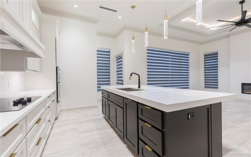 9815 24th Lane, McAllen, TX 78504, 4 Habitaciones Habitaciones , ,3 BañosBaños,Residential Lease,En Alquiler,9815 24th Lane,464699
